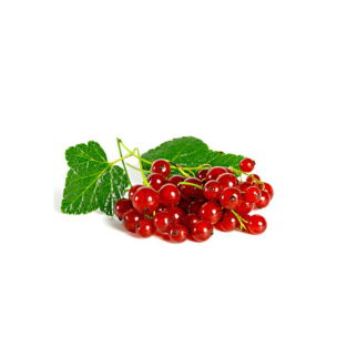 pagina-abbascia-ribes