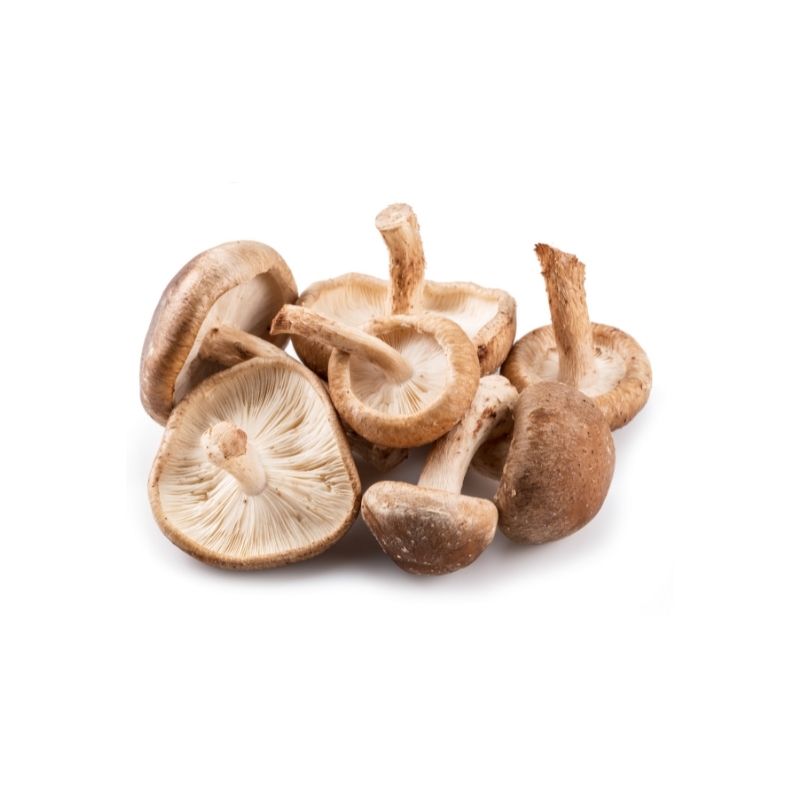 pagina-abbascia-funghi-shitake
